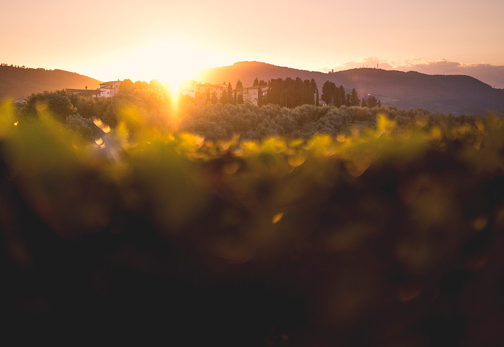 Image: The Tuscany in the evening light